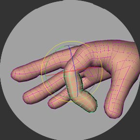 Selectable mesh sections on a hand