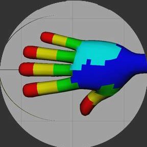 Colorized ControlMesh hand sections