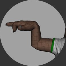 Arm skin-weight preview for Harden Weights