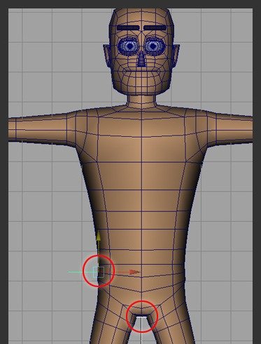 Create and place groin locators so the SkinCage groin area better matches the model.