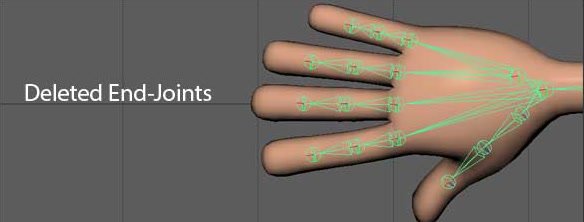 Hand rig after the end-joints have been deleted