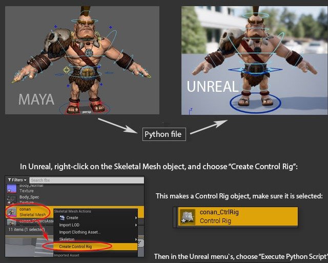 Maya to Unreal ControlRig export workflow