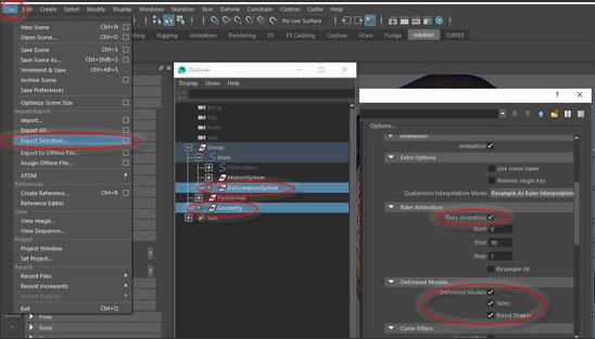 Maya FBX export options for simplified face setup