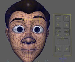 Simplified face setup head and controls