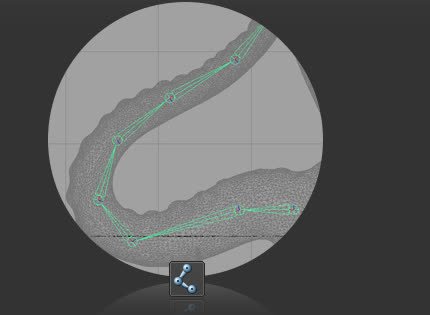 Custom fit joints drawn along tentacle-like limbs