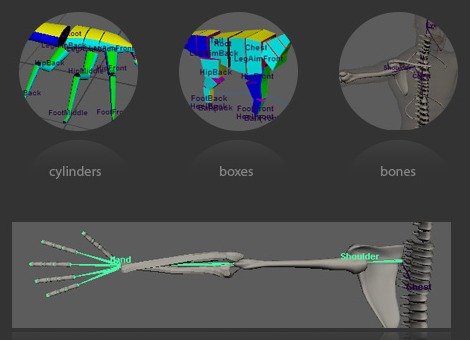 Display Geometry shows cylinders, boxes, or bones to help place joints and scale controllers.