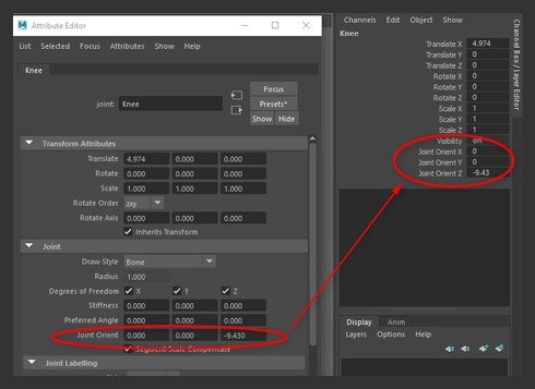 Display Joint-Orient shows joint-orient values in the Channel Box for easy editing.