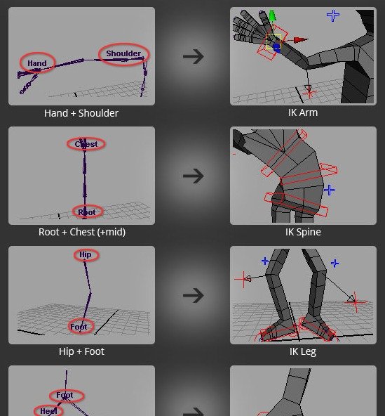 Labels define IK setup for arms, spine, legs, foot roll, foot rock, and custom chains.