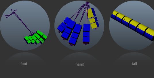 Foot, hand, and tail limb examples