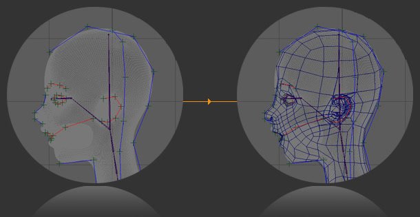 Geometry Face Retopo Match source graphic