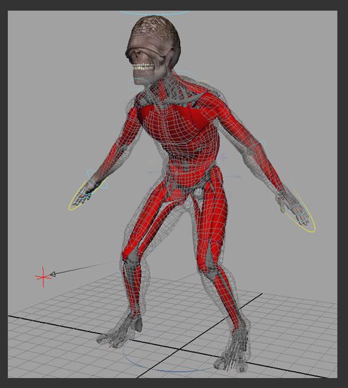 Geometry Muscular Create source graphic