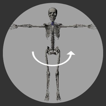 Geometry Skeleton Mirror source graphic