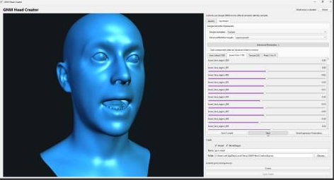 GNM Head Creator interface with a blue head model and parameter sliders.