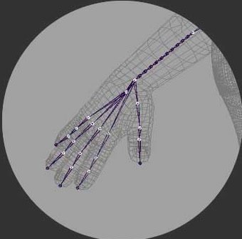 Partial joints in a hand and wrist rig