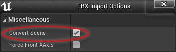 Unreal FBX import Convert Scene option