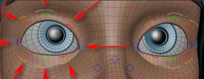 Default eyelid controls with inner and outer controllers
