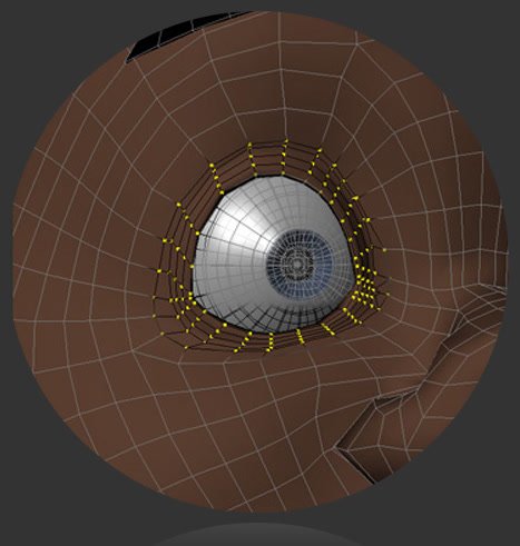Step Build: Eyelid source graphic
