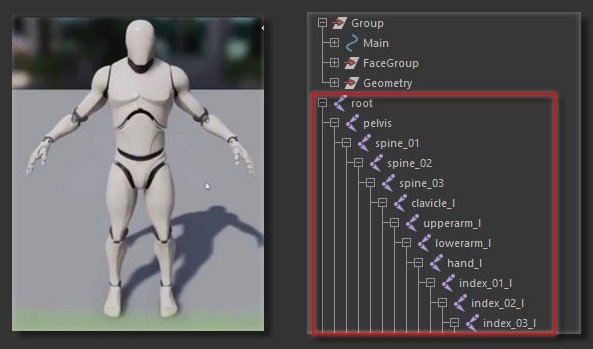 Unreal Mannequin creates a separate skeleton with Unreal Mannequin names and orientation.