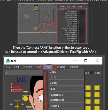 Create ARKit BlendShapes adds ARKit-compatible blendshape targets and supports connecting ARKit in the Selector tool.