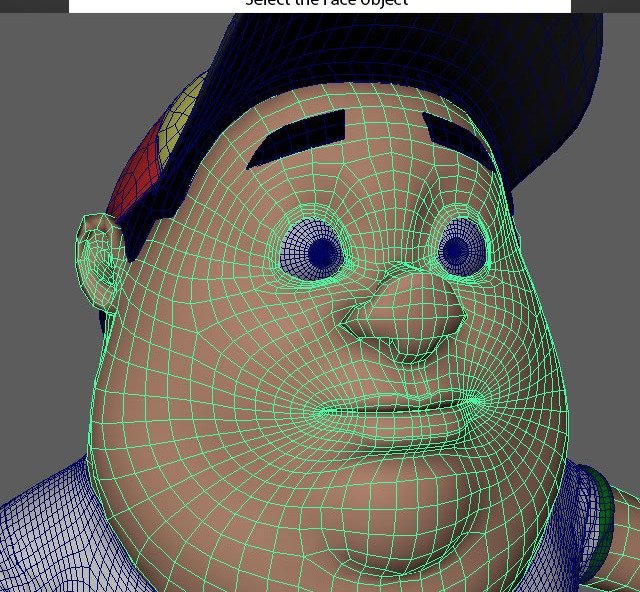 Face selects the main face object for the FaceSetup.