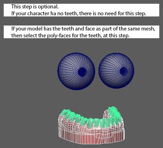 Lower Teeth selects lower teeth or their poly-faces when teeth are part of the face mesh.