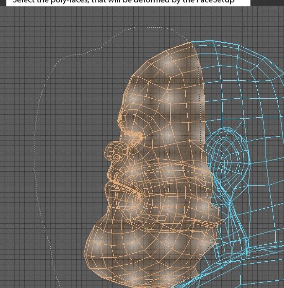 Mask selects the poly-faces deformed by the FaceSetup.