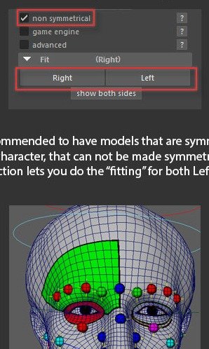 Non-symmetry enables fitting both left and right sides for asymmetrical characters.
