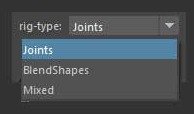 Rig Type chooses between Joints, BlendShapes, or Mixed FaceRig builds.