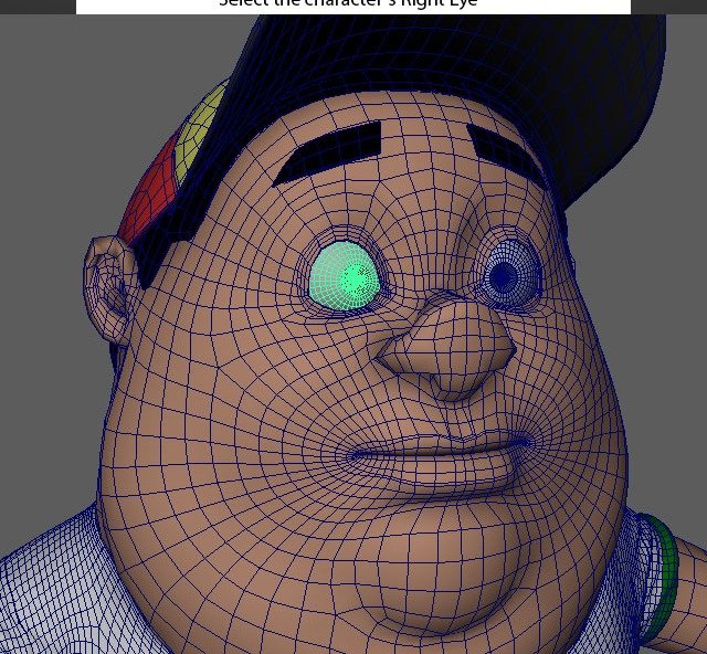 Right Eye selects the character's right eye for the FaceSetup.
