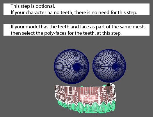 Upper Teeth selects upper teeth or their poly-faces when teeth are part of the face mesh.