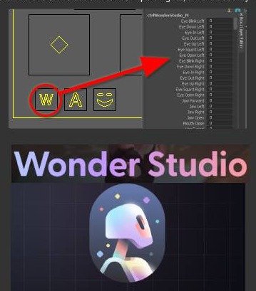 Create WonderStudio BlendShapes adds Wonder Studio-compatible blendshape targets.