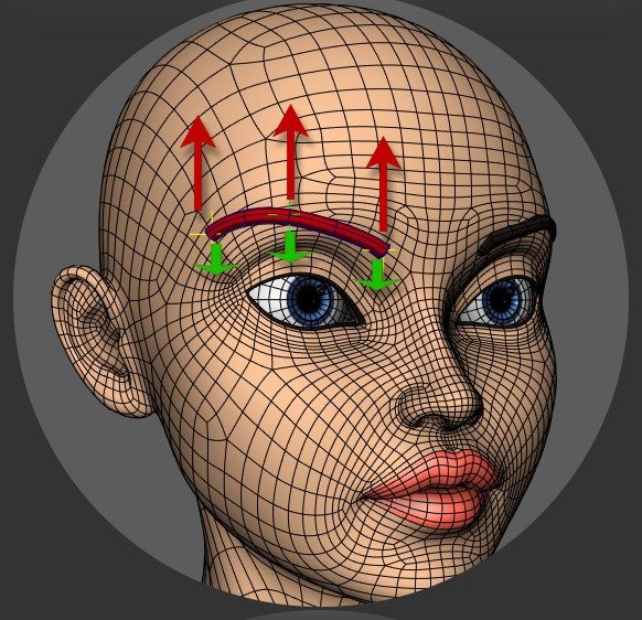 Eyebrow animation used to drive the nCloth simulation.