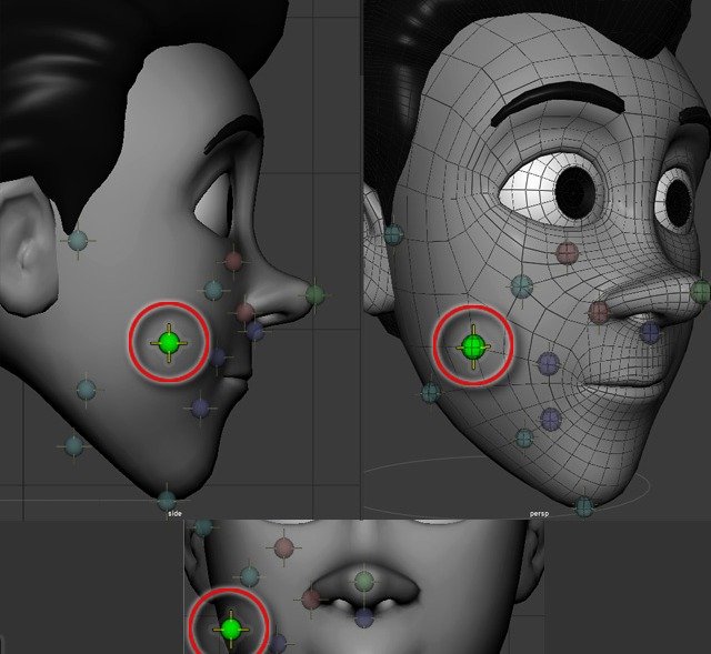 Cheek placement point shown in side, perspective, and front views.