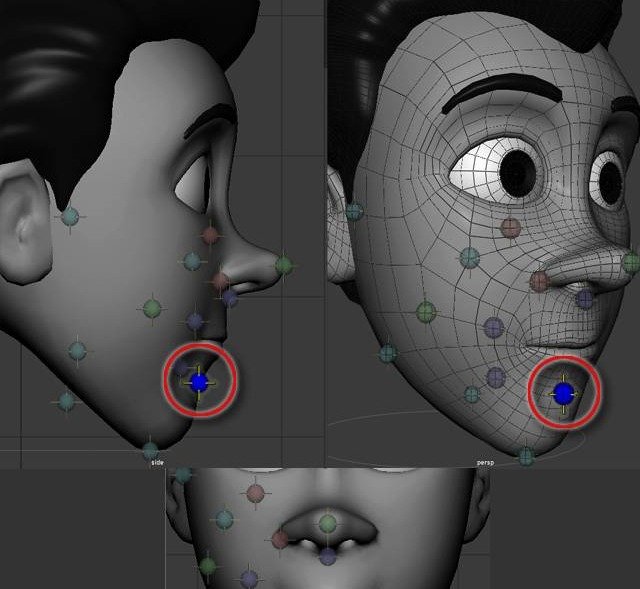Chin-crease placement point shown below the lower lip.