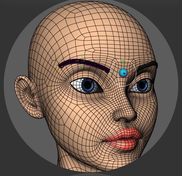 Eyebrow-center placement point shown at the center of the brow.
