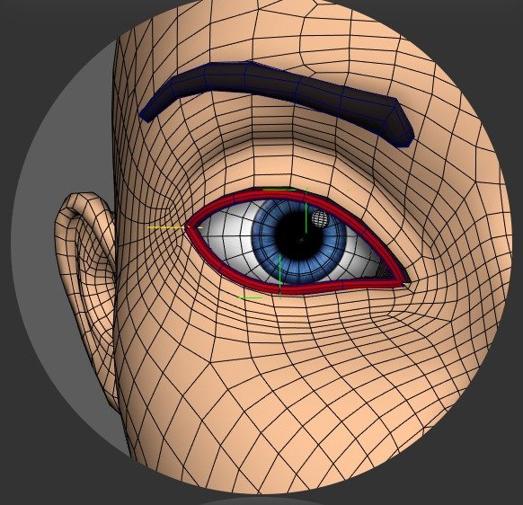 Main eyelid edge loop shown around the eyelid opening.