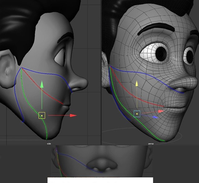 Jaw curves: green for jaw bone, red for 50% deformation, and blue for deformation start/end.