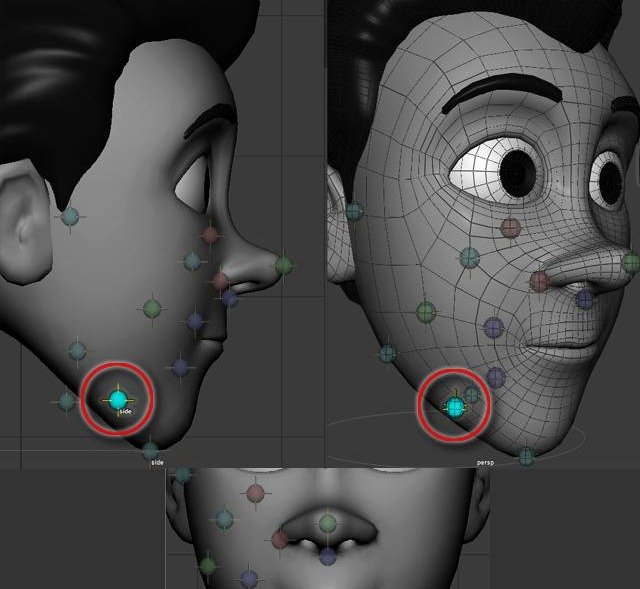 Jaw-line placement point shown along the jaw line.