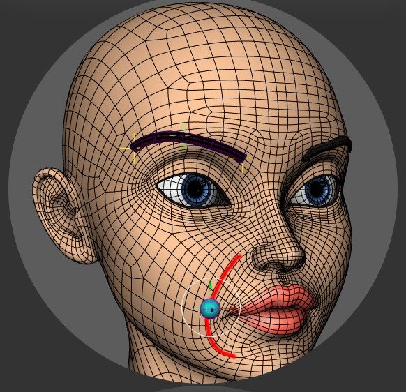 Face-line placement curve shown beside the mouth and cheek.