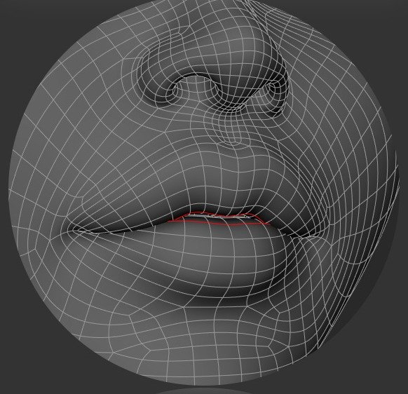 Main lip edge loop shown around the mouth opening.