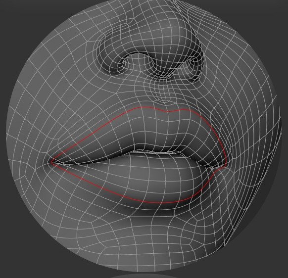 Outer lip edge loop shown around the lips.