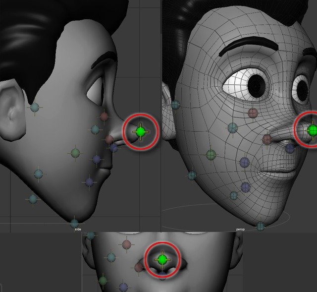 Nose placement point shown at the nose tip.