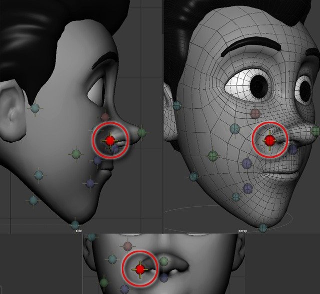 Nose-corner placement point shown beside the nostril area.