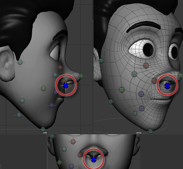 Under-nose placement point shown below the nose.