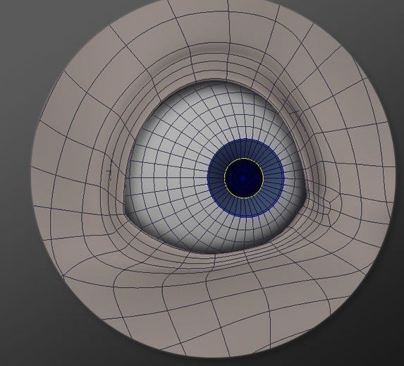 Pupil ring placement shown on the eyeball.