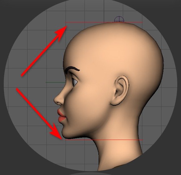 Face skeleton-node placement shown with upper and lower limits in side view.
